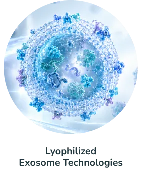 Lyophilized Exosome Technologies