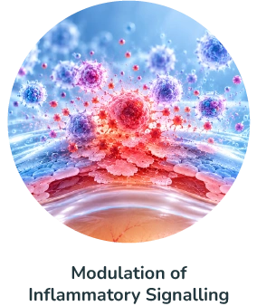 modulation of inflammatory signalling
